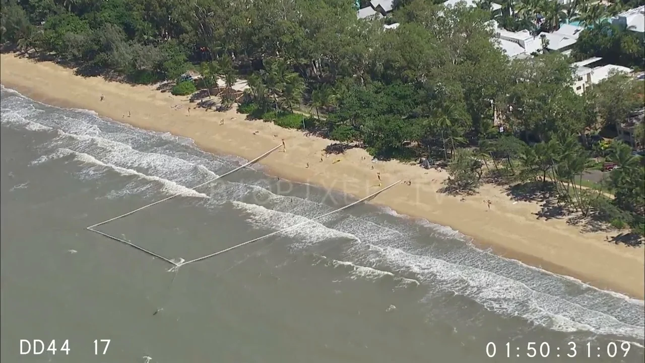 Victim Aerial Box Jellyfish Stinger net Northern beaches of