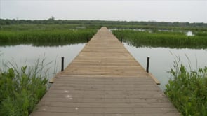 The Lake Waco Wetlands