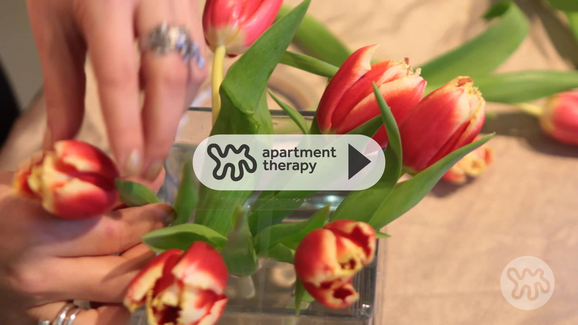One Minute Tip How to Arrange Flowers Using the Tape Method on Vimeo