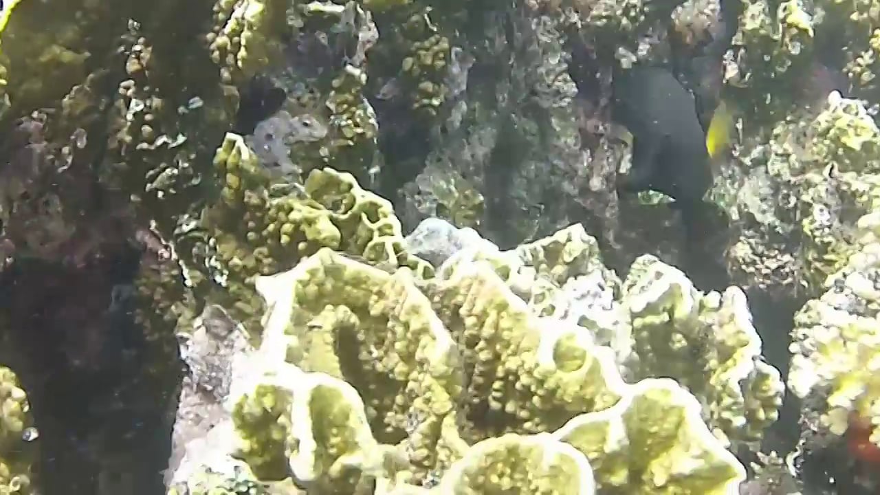 djibouti, le début de la mer rouge on Vimeo