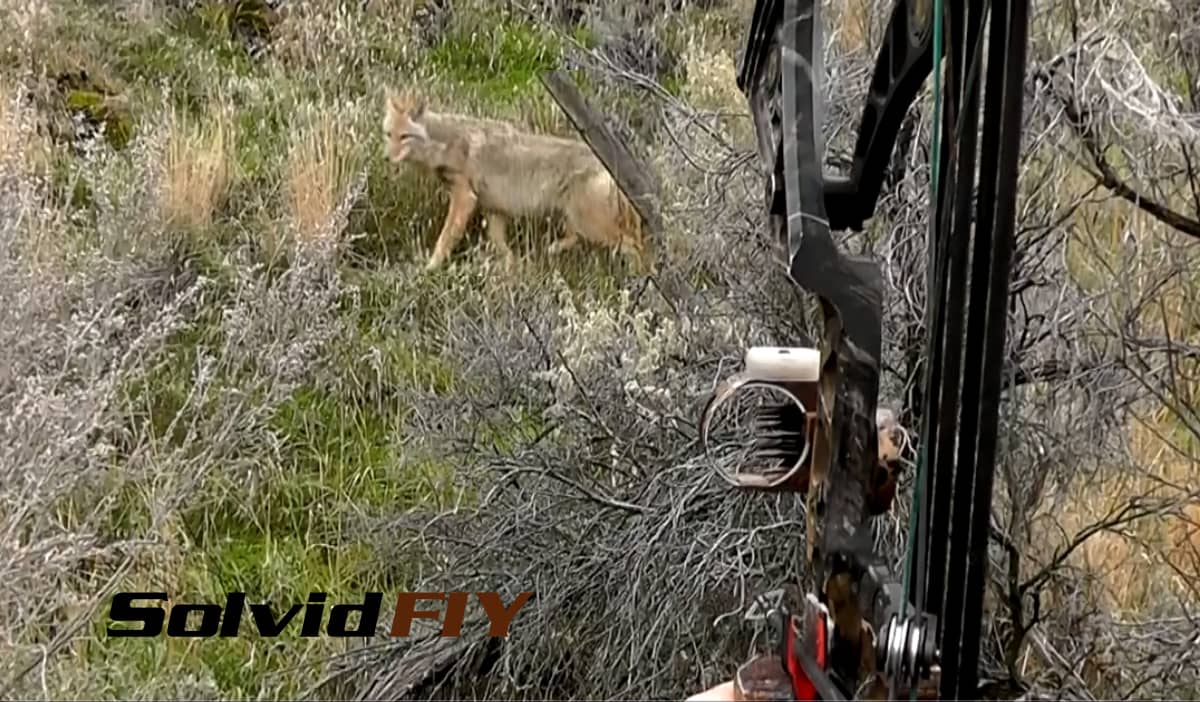 POV Archery Hunting Compilation - The Best of Solvid FIY on Vimeo
