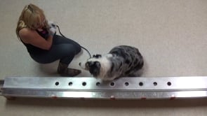 Related Embedded Video Item Thumbnail