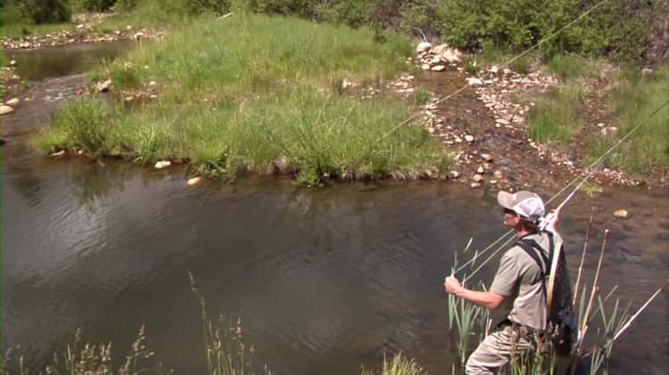 Fly Fishing Mice Patterns For Trout-H.264 - :Vimeo HD on Vimeo