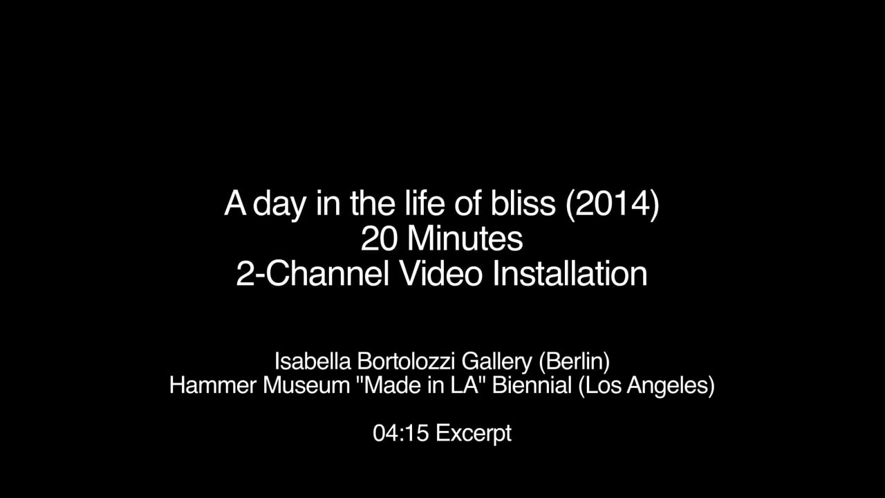 A day in the life of bliss - 2-Channel Video Installation