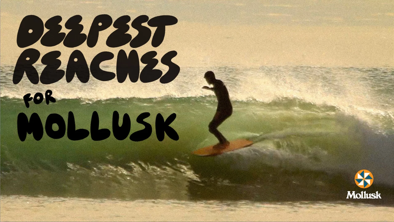 Mollusk surfboards deals