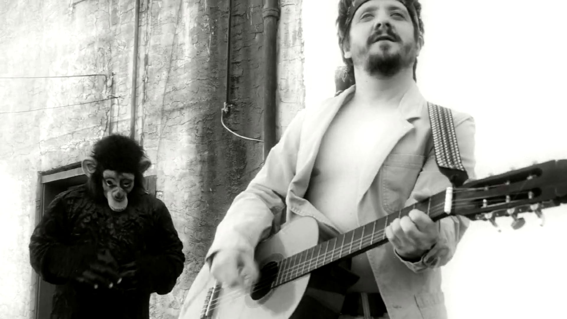 Monkey With Aids Song by Darrell Dakota