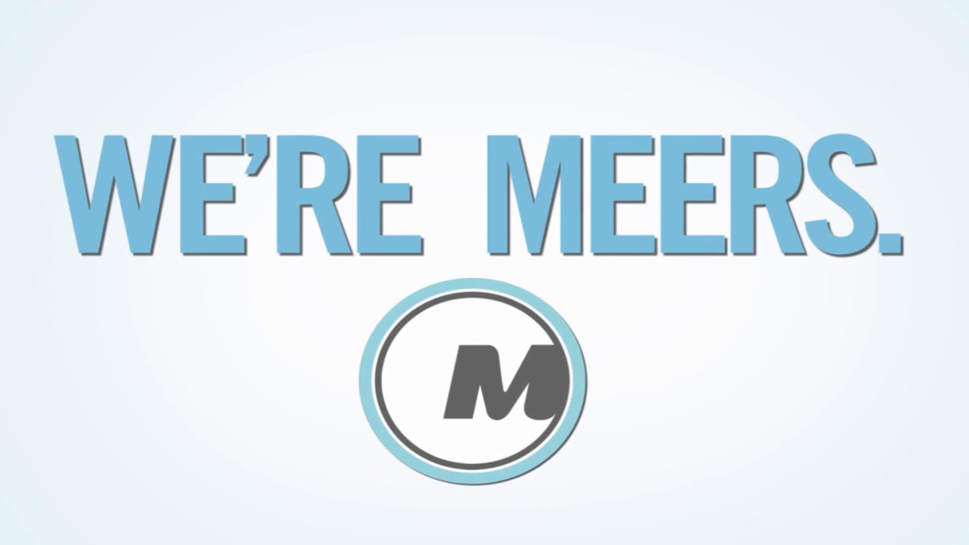 MEERS Branding Inforgraphic