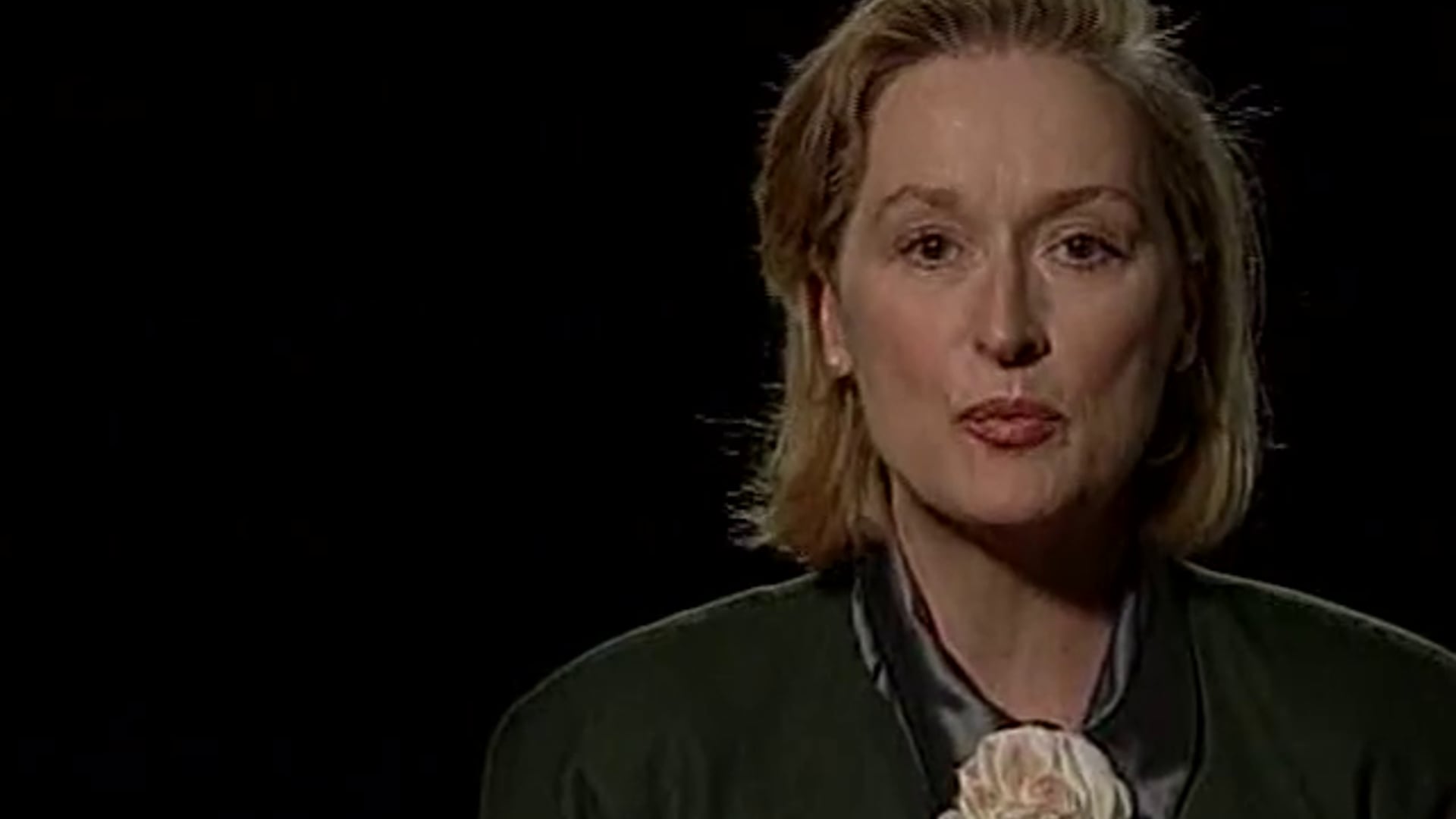 Portraits, Hosted by Meryl Streep