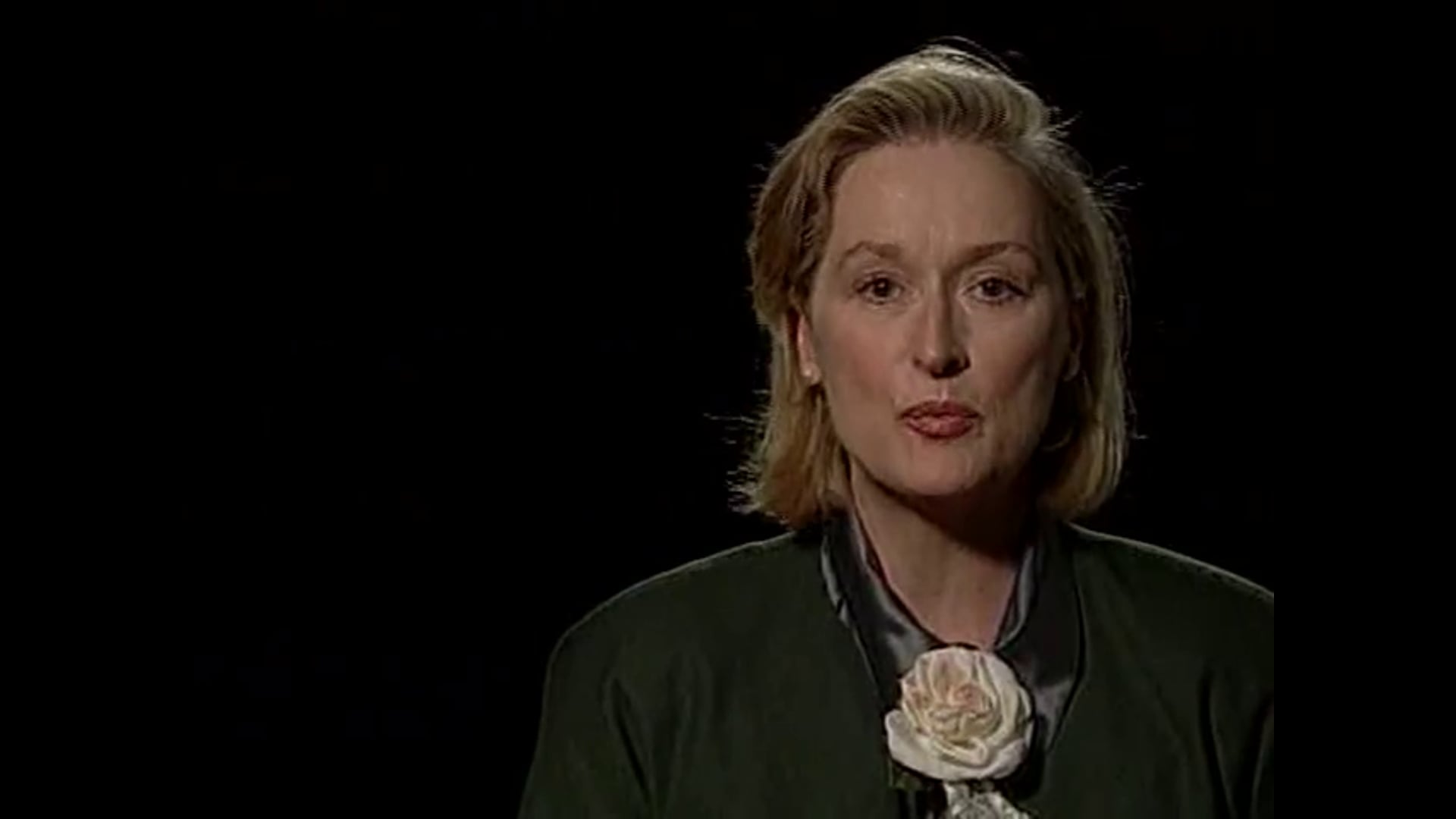 Portraits, Hosted by Meryl Streep