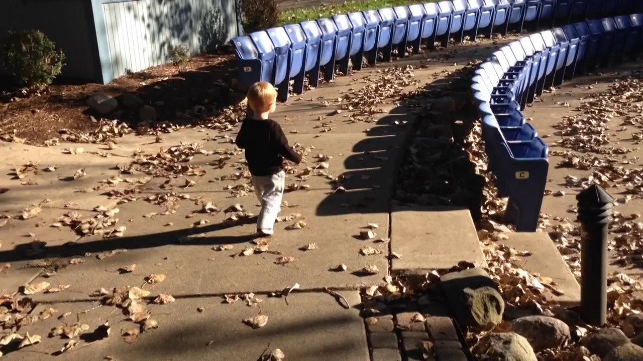 Celery Flats with Caleb, Fall 2013 on Vimeo