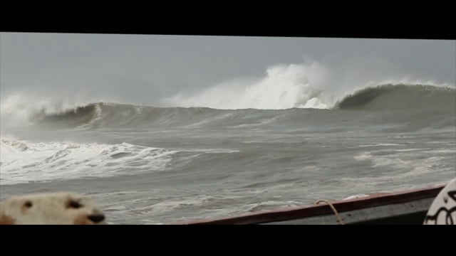 The West Tip Of Afrika from William Aliotti