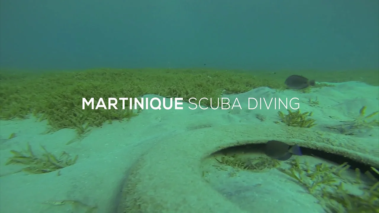 martinique scuba diving teaser on Vimeo