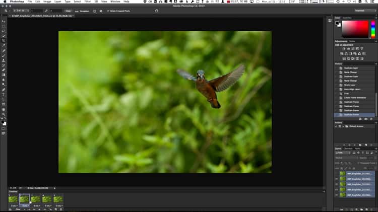 How to make an animated GIF with Photoshop