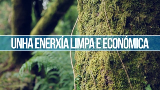 BIOMASA GALEGA. VIDEO VALORACI&Oacute;N DO SECTOR