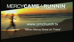 When Mercy Grew on Trees