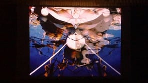 Marató Audiovisual del Festival Portalblau