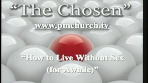 How to Live Without Sex (for Awhile)