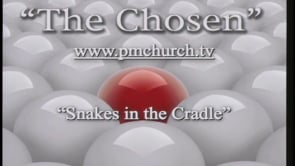 Snakes in the Cradle
