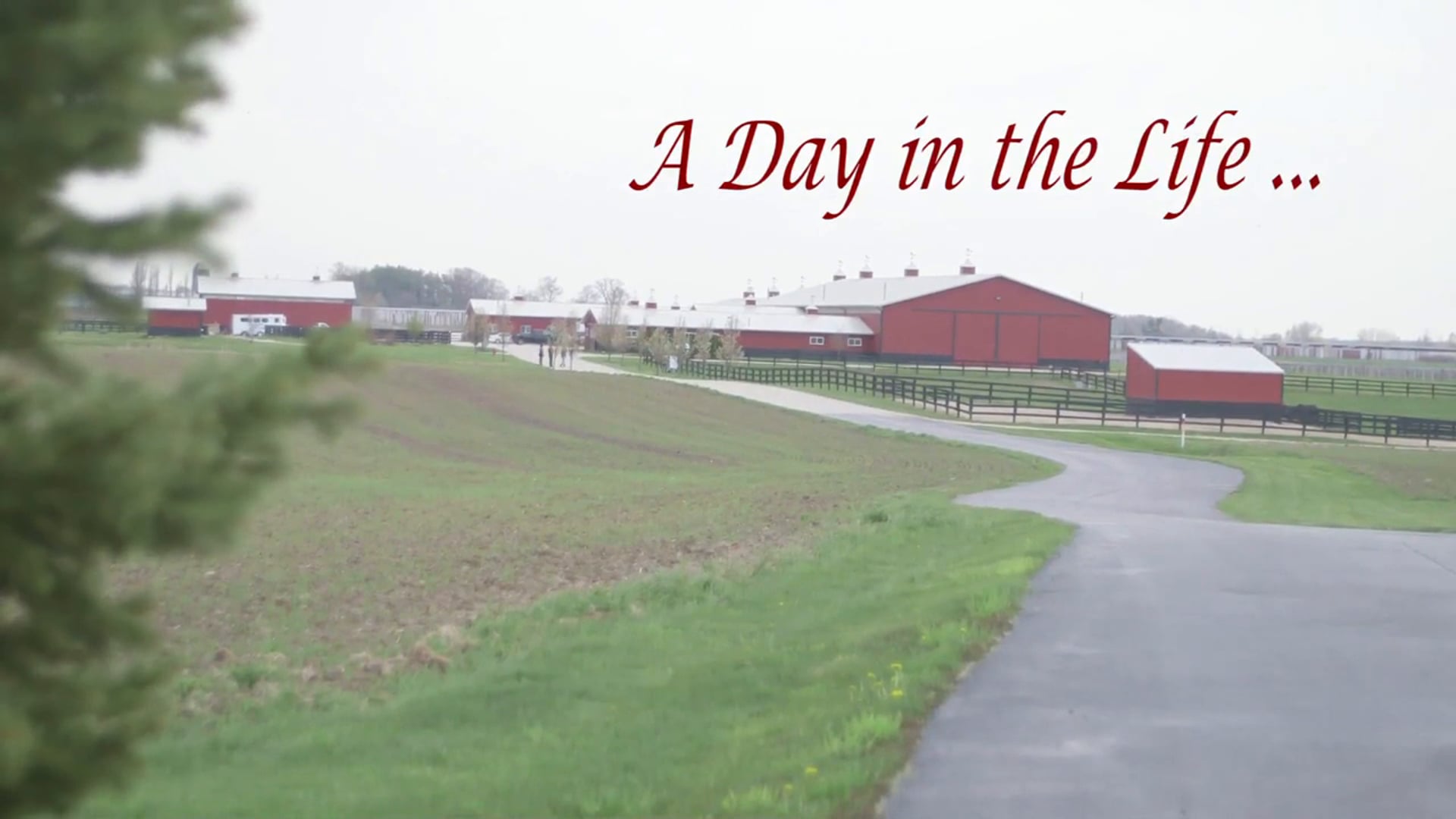 A Day in the Life...