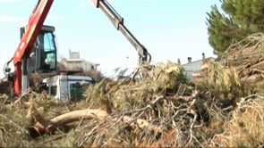 Completada la franja de protecció forestal a Les Planasses.
