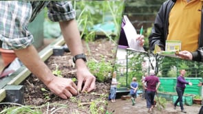 Groundwork Camden Gardening Project