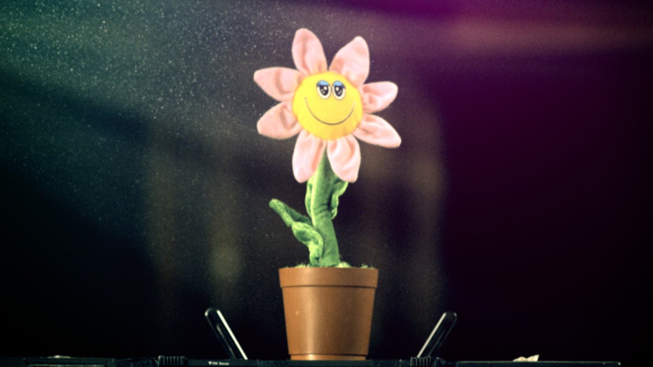 Coca Cola Rave Flowers on Vimeo