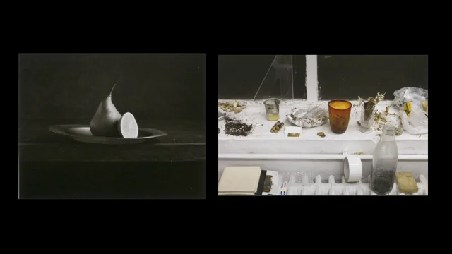 Curator Nathaniel Stein on Wolfgang Tillmans’s “Night Still Life”