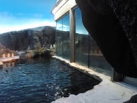 A Day Diving at the Zoo