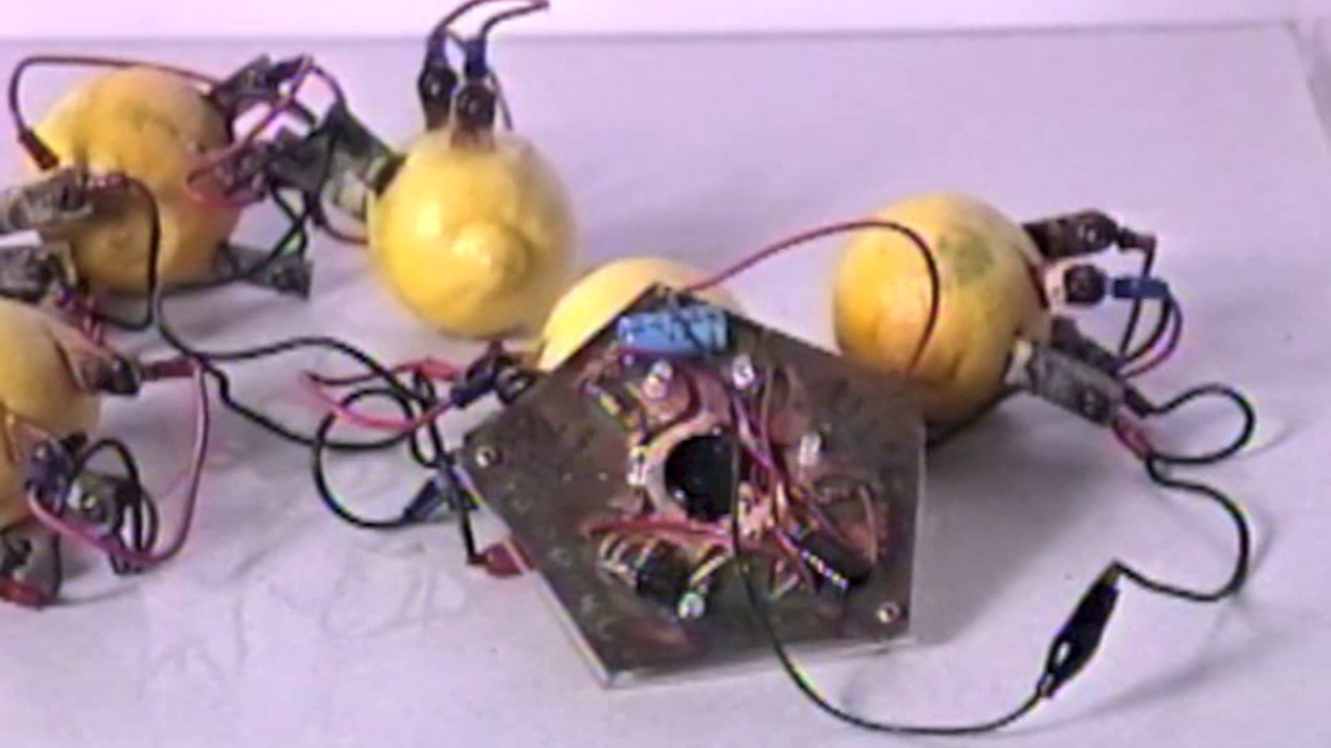 Norman Tuck - Tapping the Juice ©1989