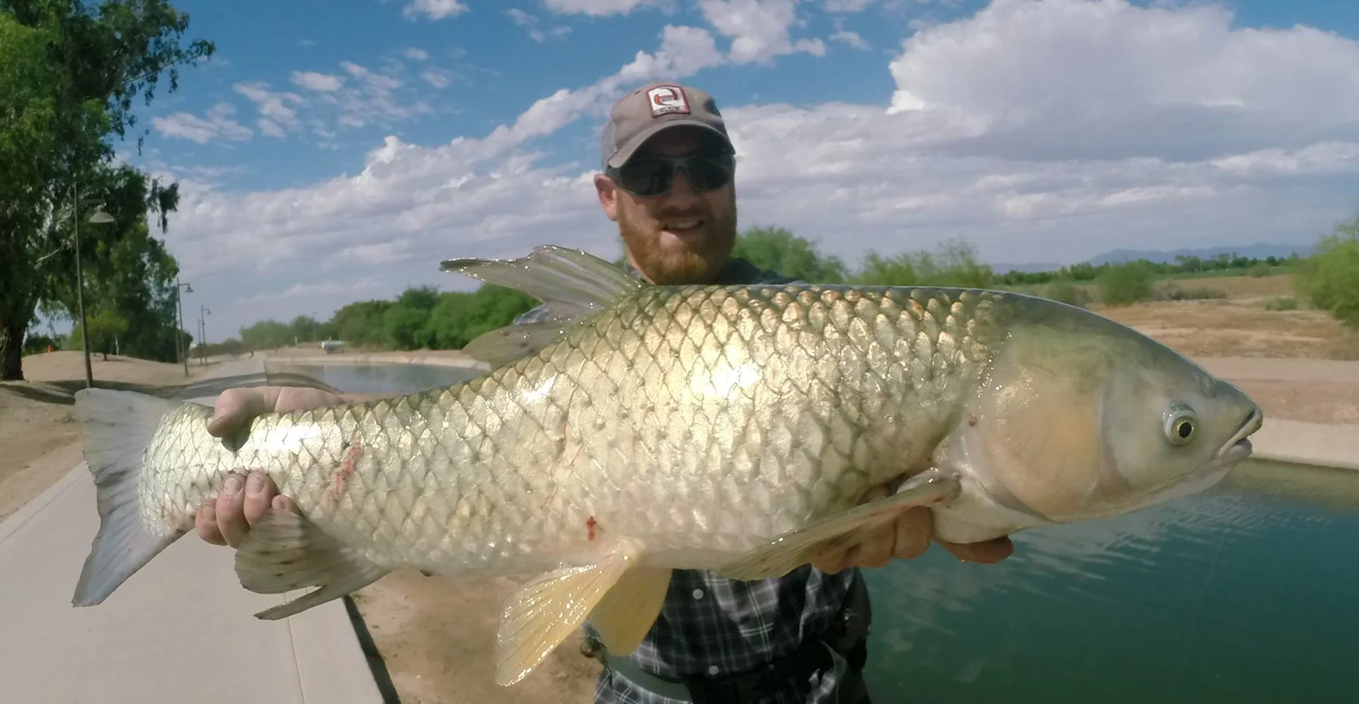 1,000 Inches of Carp Fly Fishing Phoenix, Arizona on Vimeo