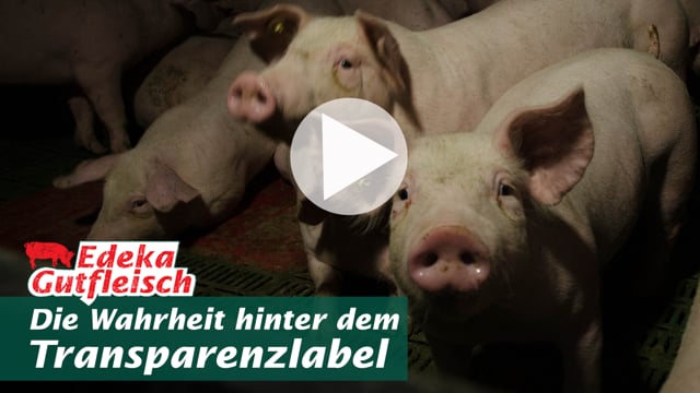 Edeka Gutfleisch – Die Wahrheit hinter dem Transparenzlabel