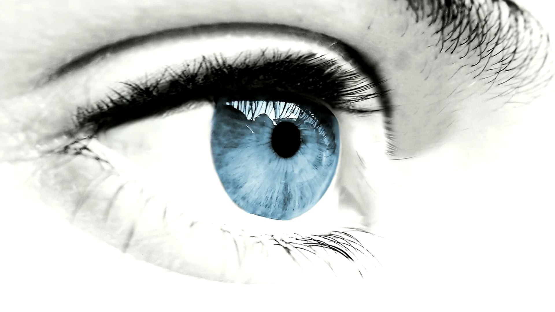 EYE Blink motion graphic