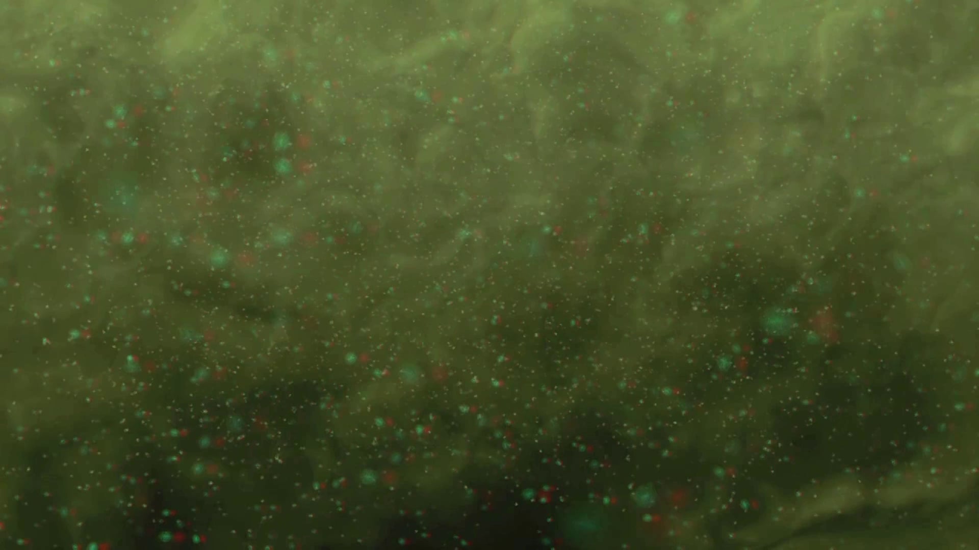 МУТЬ / MURK / 2013-2014