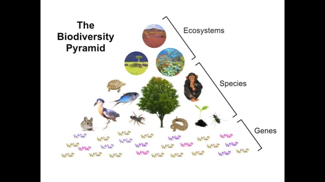 Videos Porno Daniela Flores Pacheco - Biological Diversity and Public Health | Annual Review of Public Health