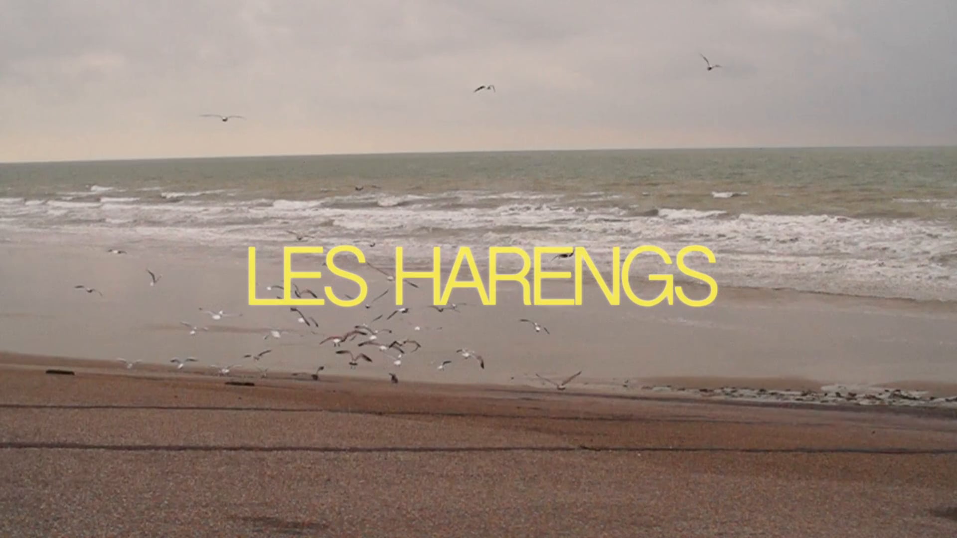 "Les Harengs" teaser