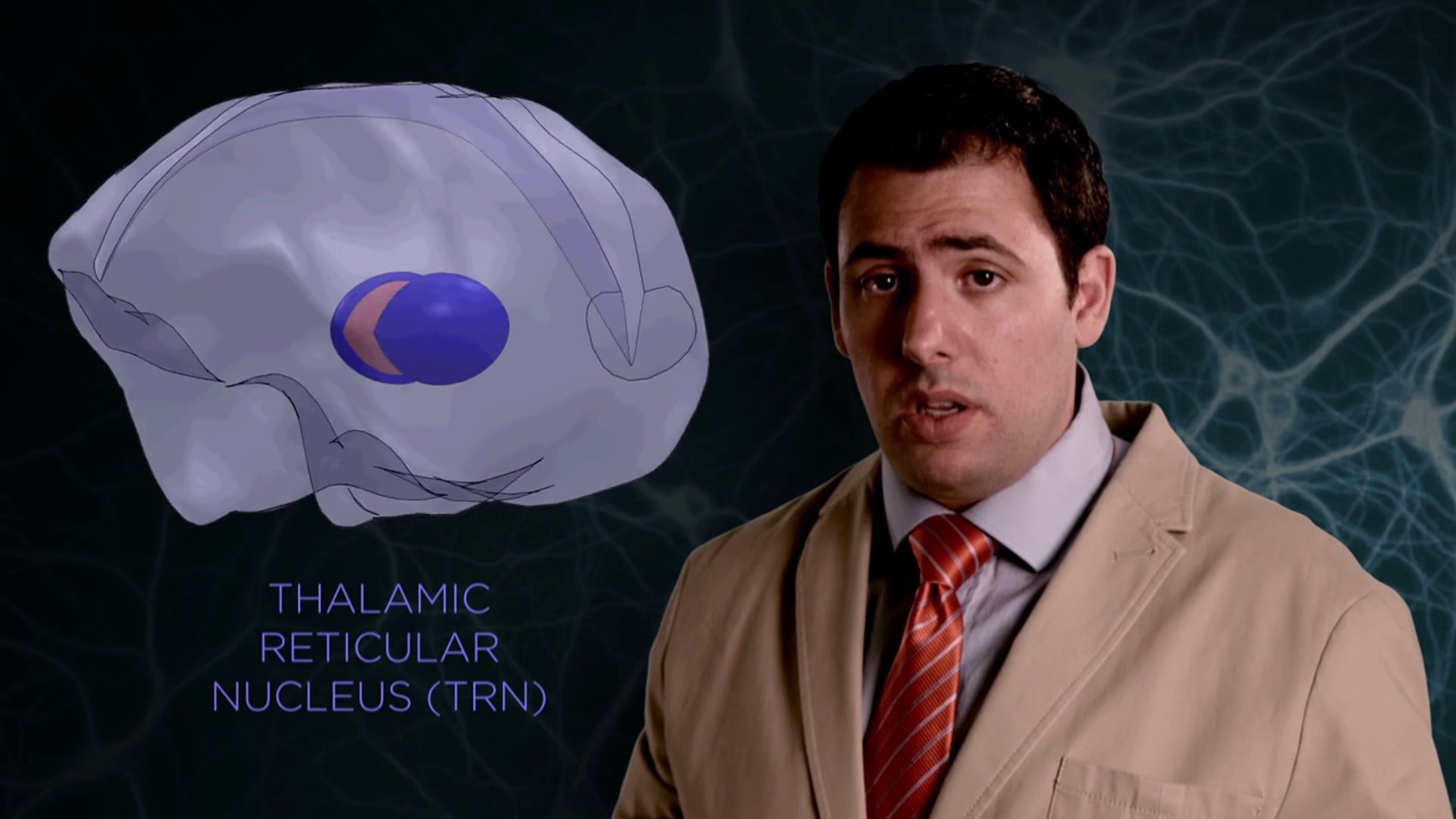 Video Abstract for Halassa Lab