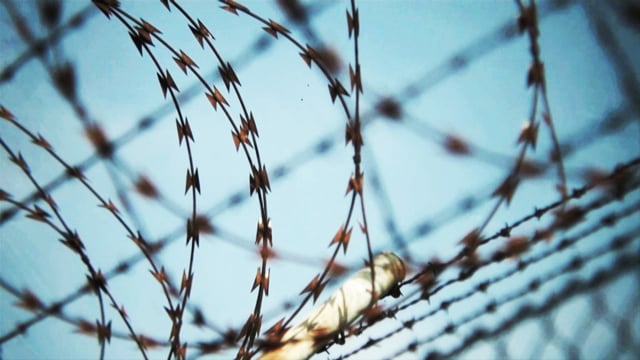 NEUSTART: „Tag der ehrenamtlichen Bewährungshilfe“