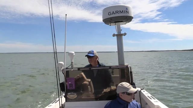 Video: Fly Fishing for Striped Bass off Cape Cod in “Fish Mission: Cape  Cod” – The Venturing Angler