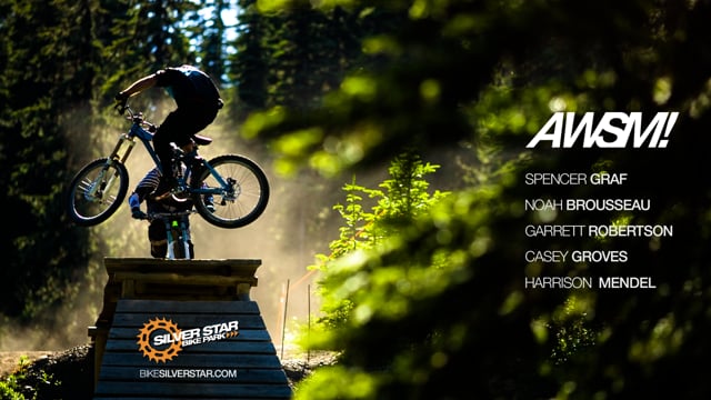 Silver Star Is Awesome from Virtu Media