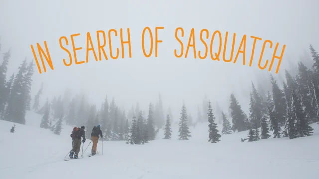 In Search of Sasquatch