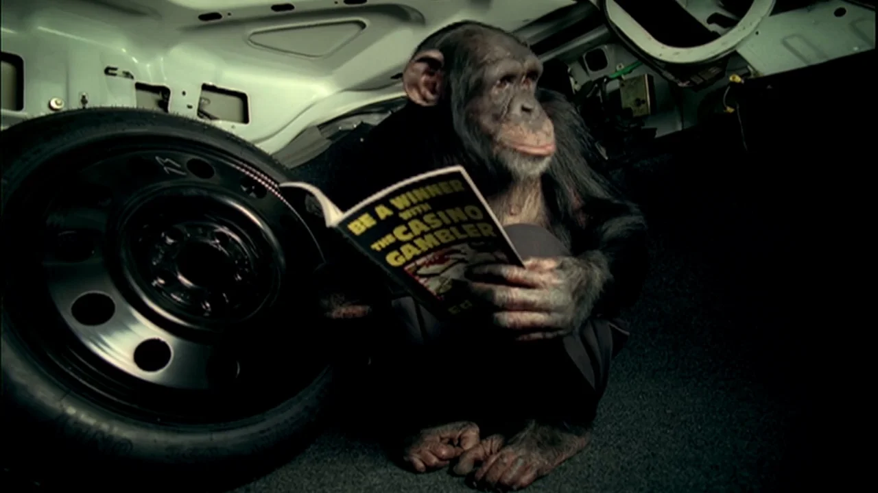 trunk monkey road rage - Ilustrasi 3