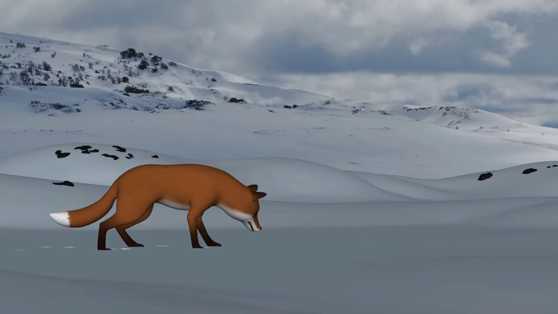 Fox hunting in snow - Animation by Chaitanya Limaye - Zerply