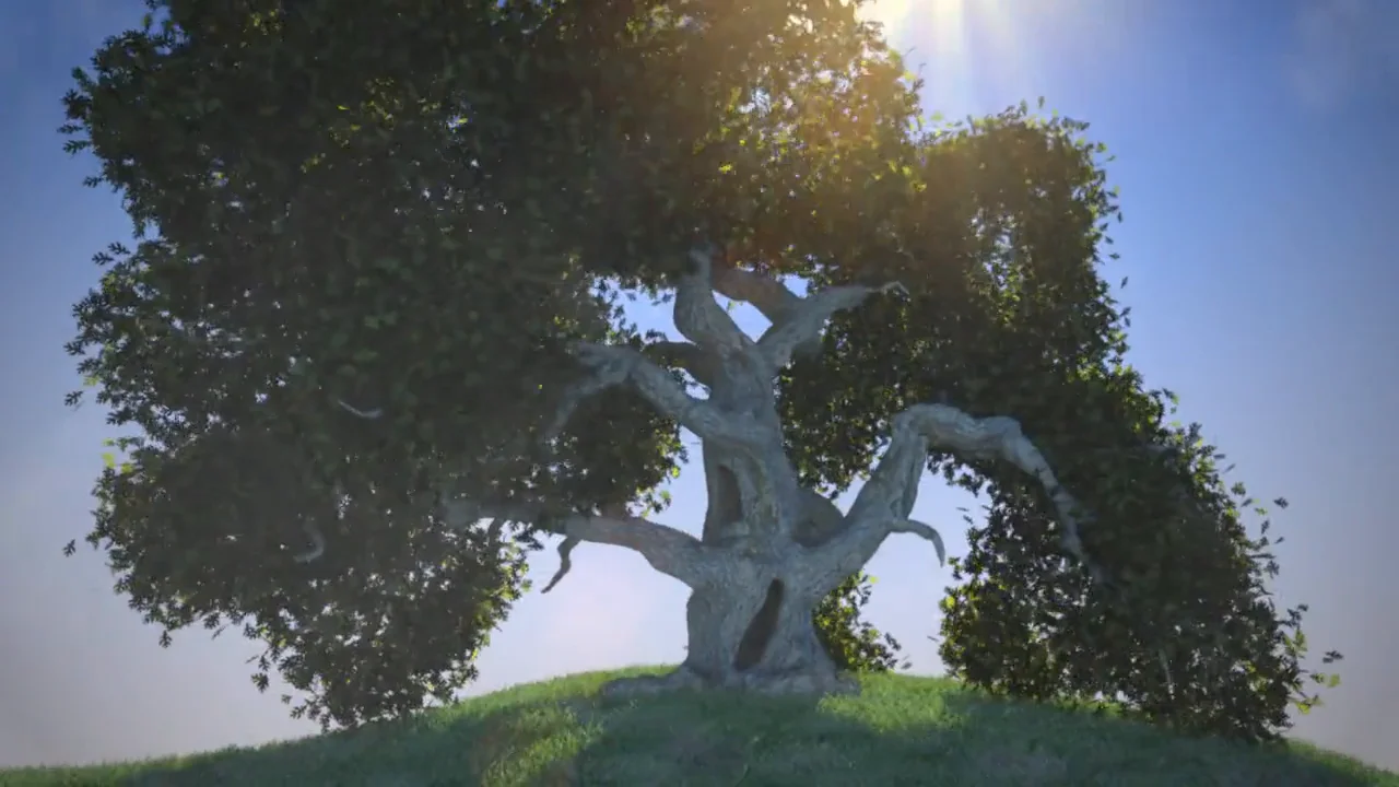 Modo time lapse on Vimeo