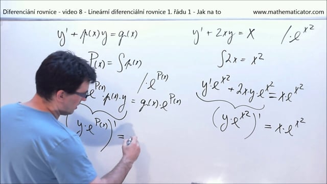 Diferenciání rovnice - video 8 - Lineární diferenciální rovnice 1. řádu 1 - Jak na to
