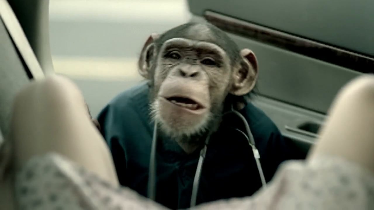 Commercials ARCHIVE Trunk Monkey Baby on Vimeo