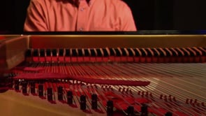 Related Embedded Video Item Thumbnail
