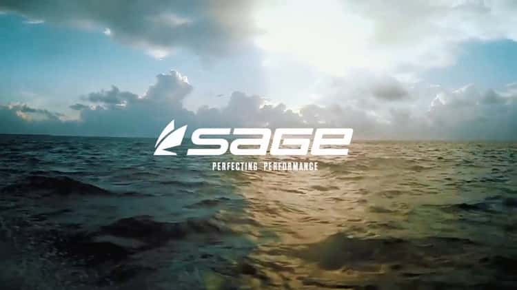 Sage - Perfecting Performance on Vimeo