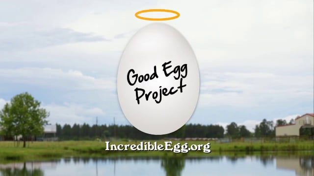 Dixie Egg Company & Good Egg Project 2 on Vimeo