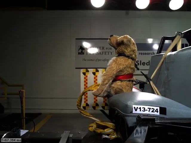 2013 Harness Crash Test Videos - Center for Pet Safety