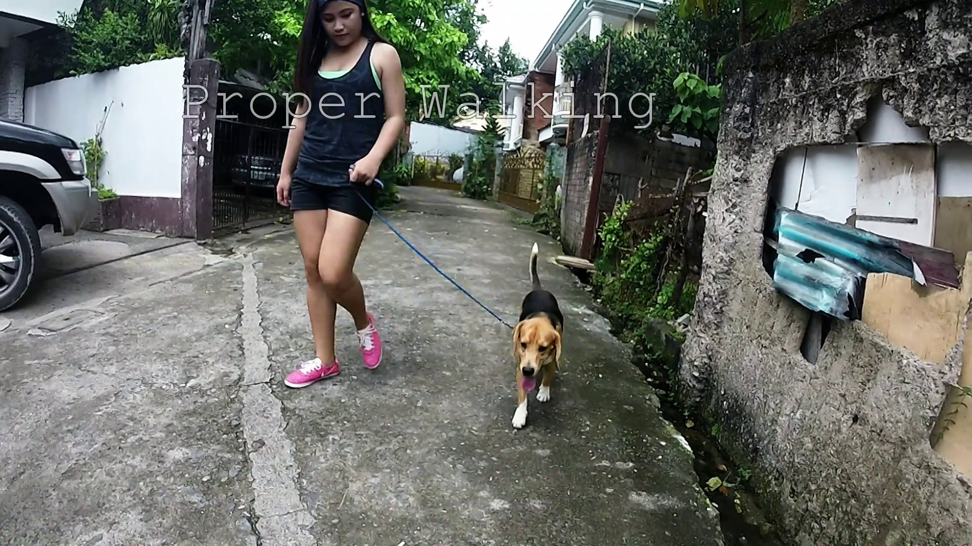 Puppy training Dog training in Long Island, NY and Cebu, PH on Vimeo